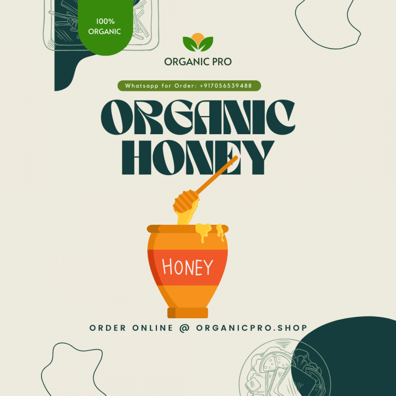 Ancient Ayurved Natural Honey